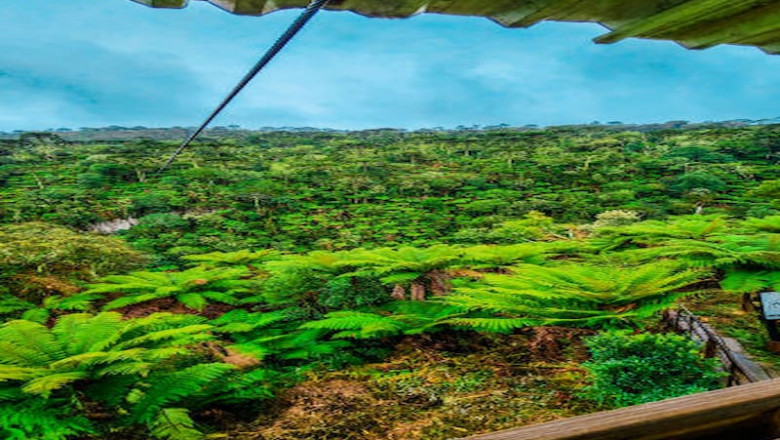 Zipline Over Forests, Dive Into Caves: The Philippines’ Wild Side