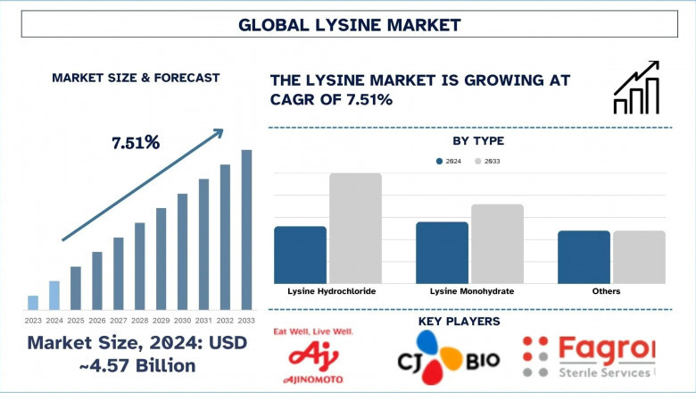 Lysine Market Report, Size, Share, Trends, Analysis and Forecast 2033