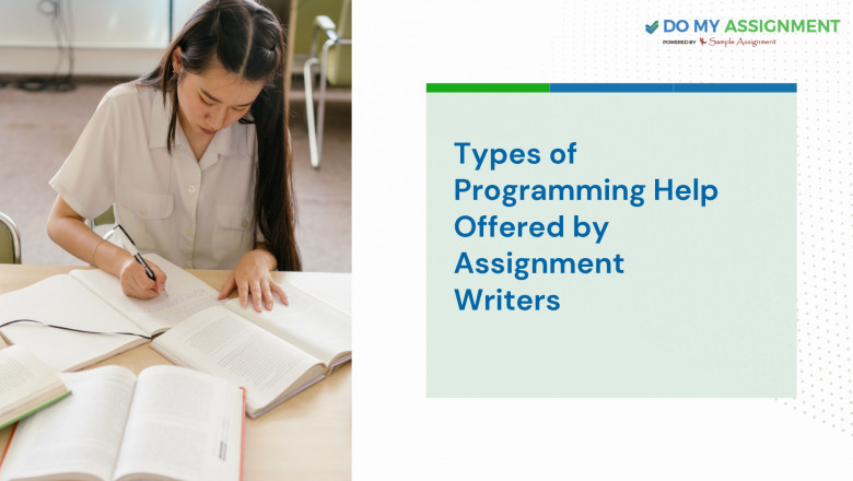 Types of Programming Help Offered by Assignment Writers