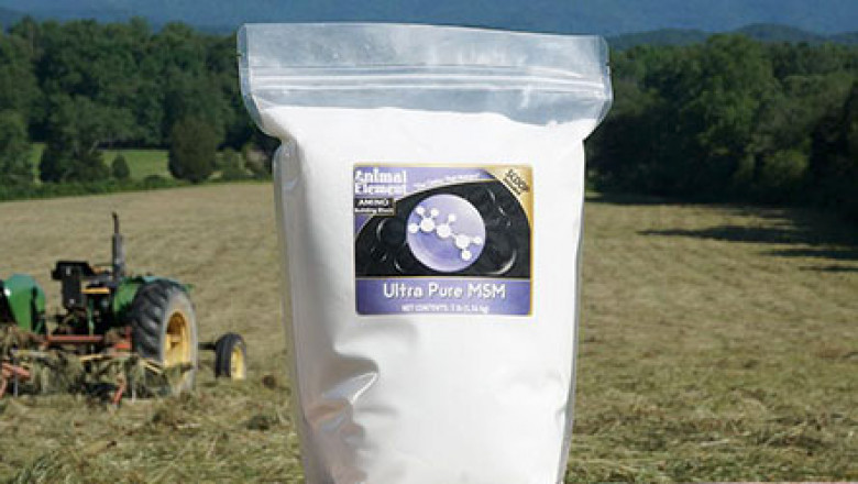 Lethargic Horse? Try Vitamin E for horse supplements.