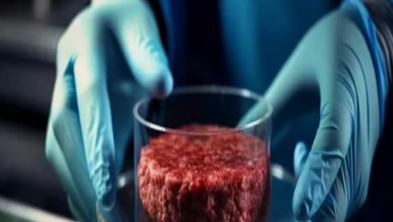 3D Printed Meat Market to Witness Growth Owing to Sustainability Focus
