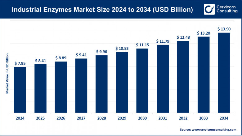 Industrial Enzymes Market Size, Trends, and Outlook 2024–2034