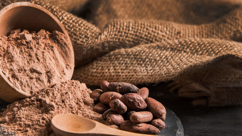 Report on Cocoa Powder Manufacturing Plant 2025- Setup Details, Machinery Requirements and Cost Analysis