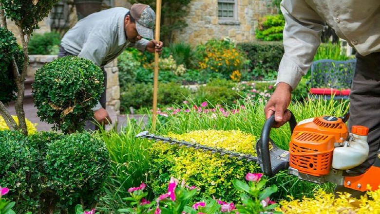 Smart Growth with Tampa Commercial Landscaping Services and Eco-Friendly Landscaping Tactics