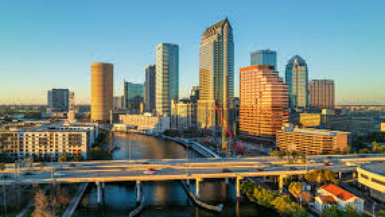 Why More Clearwater Investors Are Investing in Professional Asset Management