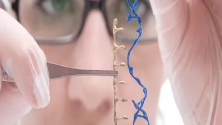 Genome Engineering Market Anticipated to Witness High Growth Owing to CRISPR Advancements