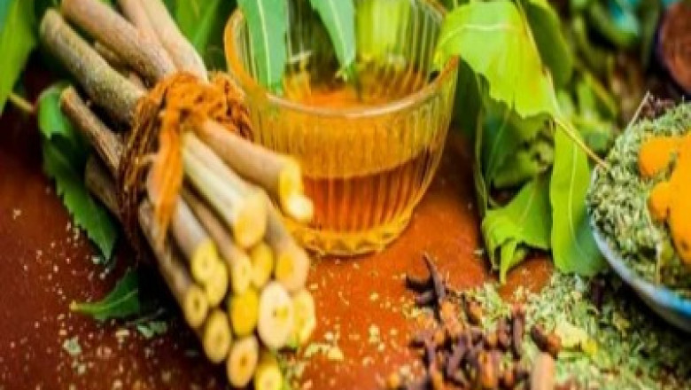 Neem Stick Market is Anticipated to Witness High Growth Owing to Rising Demand for Natural Pesticides