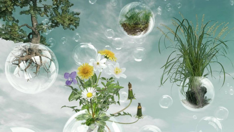 Why Biosurfactant Products Are Changing the Way We Clean and Care for the Planet