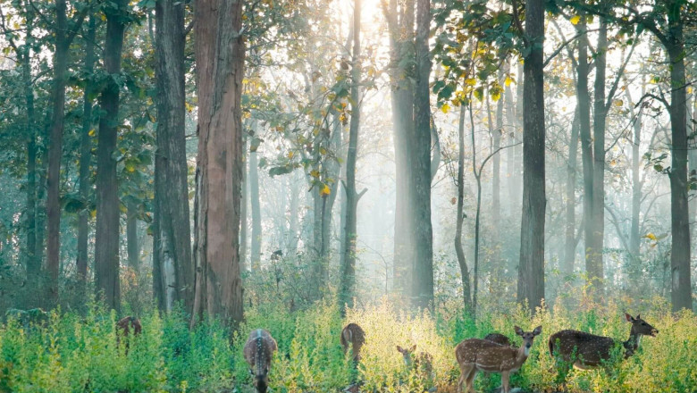 Nagarhole National Park Is Located in Which State?