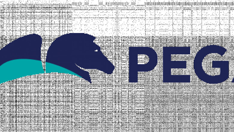 Pega Partners: Your Strategic Ally for Digital Transformation