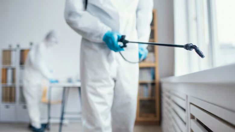 Wasp Problems? Discover Aurora’s Most Trusted Exterminator