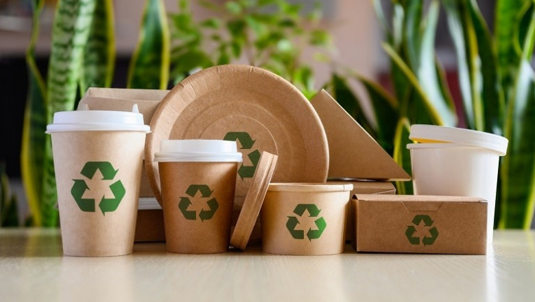 Eco Wins and Branding Goals with Cardboard Packaging Solutions