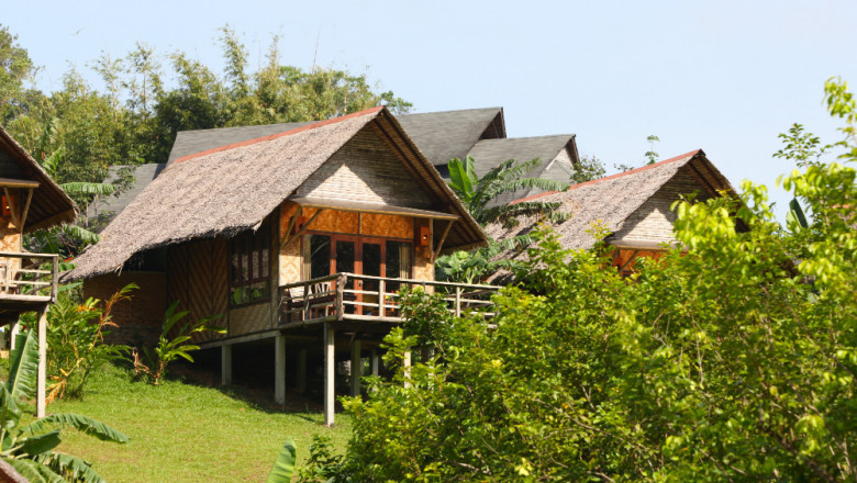 Discover Nature Like Never Before at Tranquilo Bay