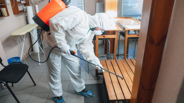 Expert Pest Control in Las Vegas – Protect Your Home from Unwanted Guests