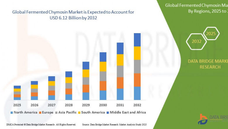 Fermented Chymosin Market Size, Share, Trends, Key Drivers, Growth and Opportunity Analysis