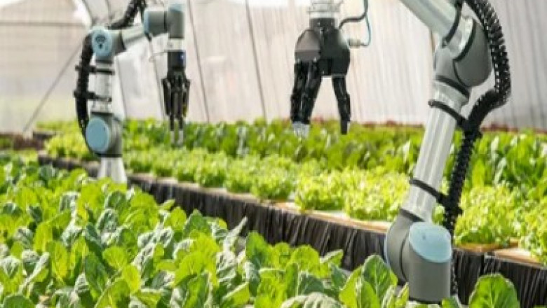 Revolutionizing Agriculture: The Rise of Agricultural Robots and Mechatronics