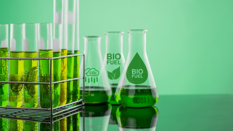 U.S. Biofuels Market Soars Amid Carbon Credit Surge