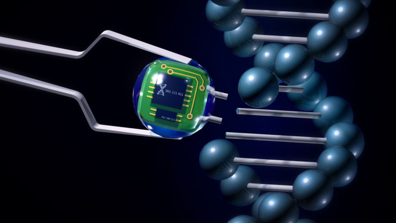 Unlocking the Potential of the Biosensors Market in Environmental and Food Safety Applications