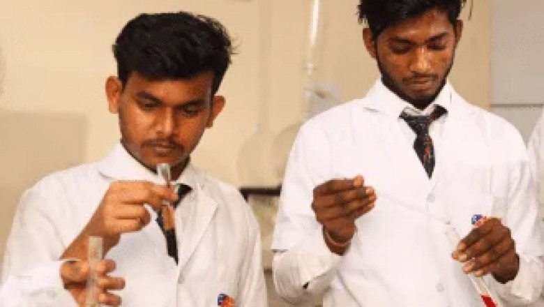 What You Need to Know About Pursuing a Diploma in Pharmacy?