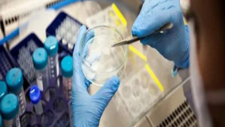Cell Sorting Market Size, Trends and Growth Forecast to 2032