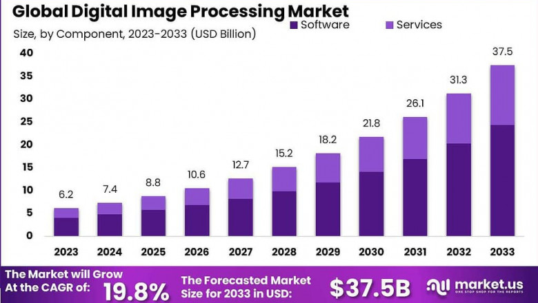 Illuminating Insights: Global Digital Image Processing Market 2024-2033