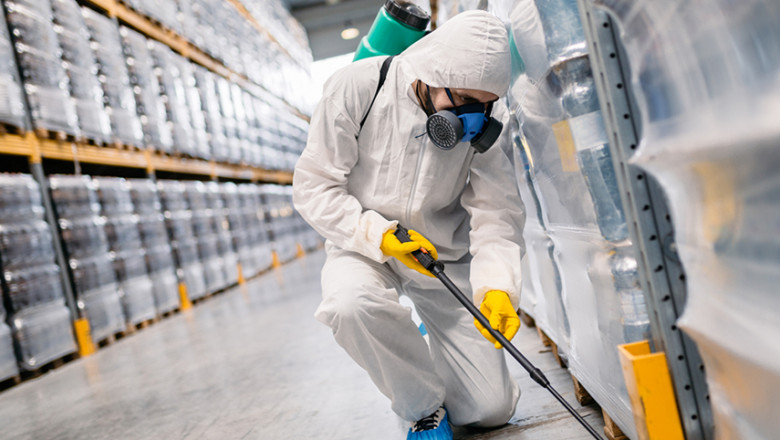 Pest Control Perth, Affordable Pest Control Services Perth