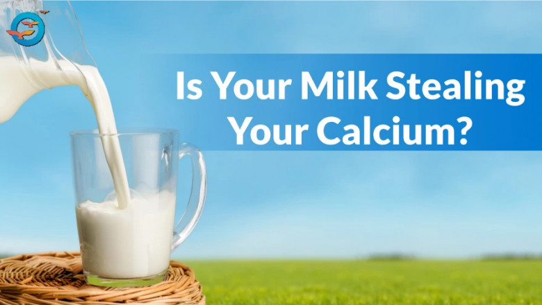 Milk and Bone Health: What Science Really Says