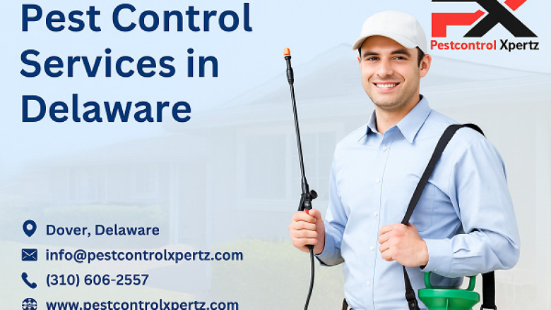 Pest Control in Wilmington: Safe &amp; Effective Solutions for Your Home
