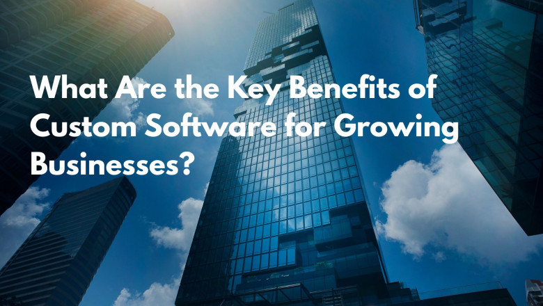 What Are the Key Benefits of Custom Software for Growing Businesses?