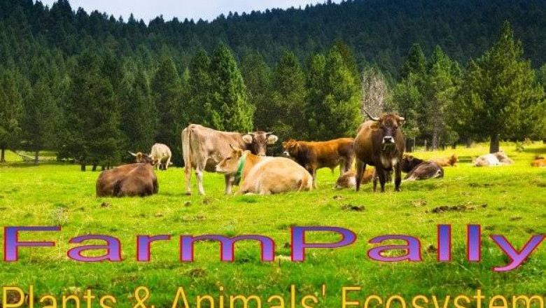 9 Wild Animals Found In The Amazon Rainforest - FarmPally