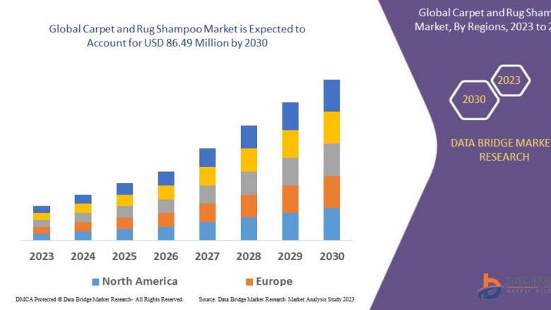 Carpet and Rug Shampoo Market Dynamics: Key Drivers and Restraints
