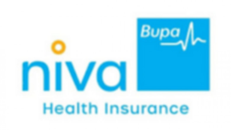 Travel Insurance Tips for Adventure Seekers: Coverage for Risky Activities