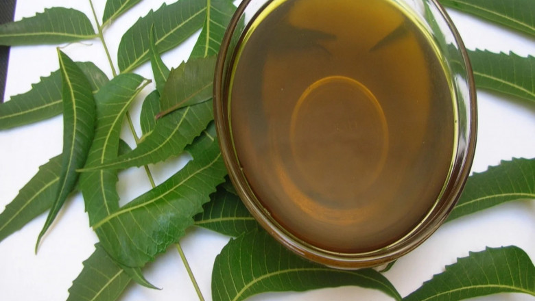 Neem Oil/Cake Manufacturers, Supplier & Exporter India