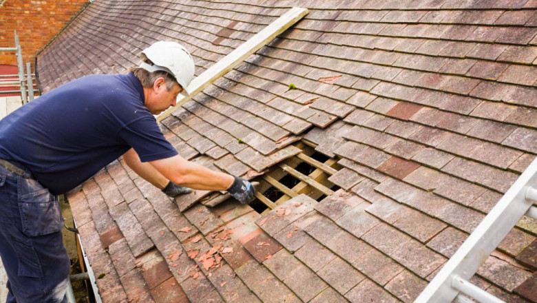 Roof Replacement: Everything You Need to Know Before You Start
