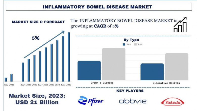 Inflammatory Bowel Disease Market Outlook, Key Developments & Forecast Analysis (2024–2032) | UnivDatos