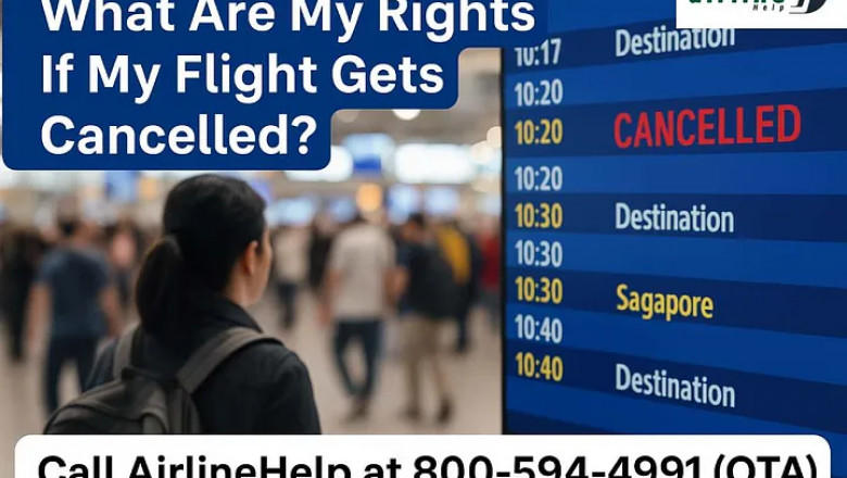 What Are My Rights If My Flight Gets Cancelled?