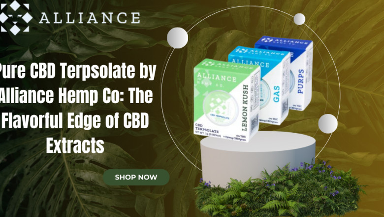 Pure CBD Terpsolate by Alliance Hemp Co: The Flavorful Edge of CBD Extracts