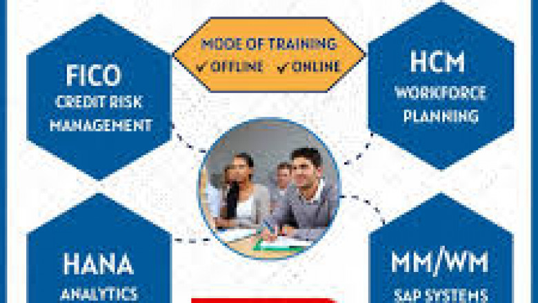 S.A.P institute in Ameerpet