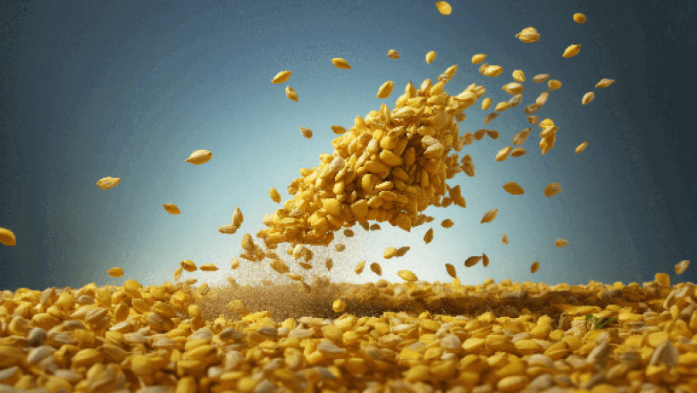 Specialized Tools for Food Industry Labs