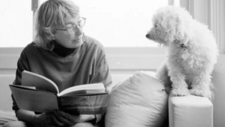 45 Mary Oliver Poems You Might Not Know, But Should