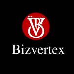 bizvertex Profile Picture