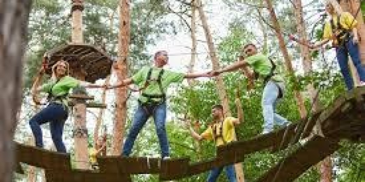 Nature-Inspired Team Building Strategies: Foster Engagement Through the Outdoors