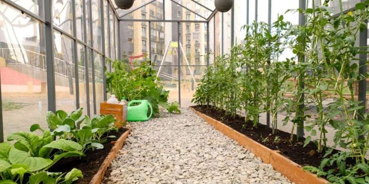 Top Flooring Choices for Greenhouses