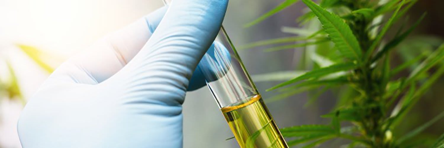 Methods and Key Considerations of Advanced Terpene Extraction Equipment | Potent