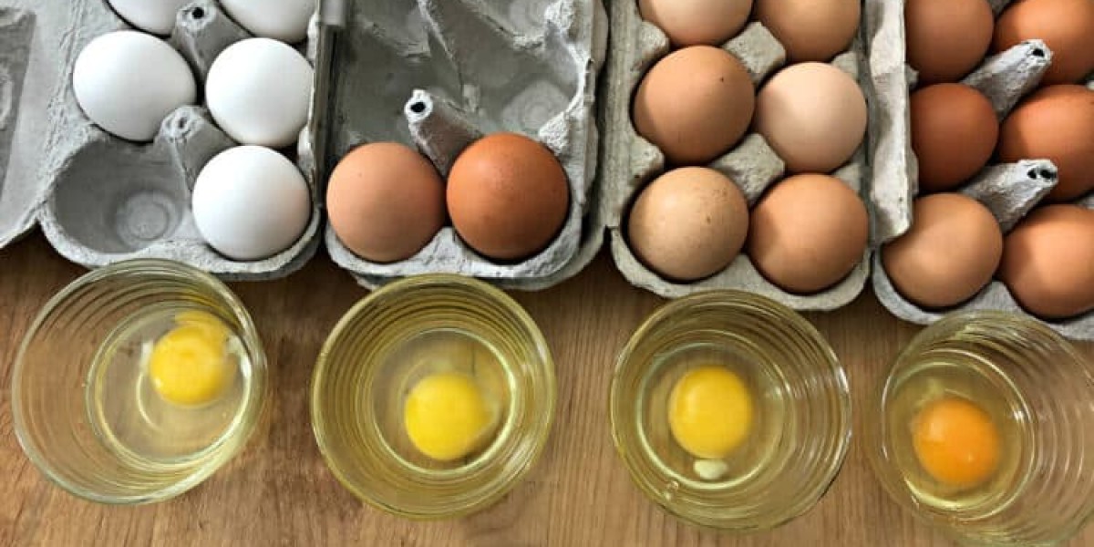 Discover the Benefits of Fresh Pasture-Raised Eggs.