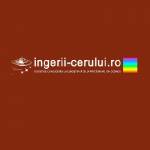 ingeri cerului Profile Picture