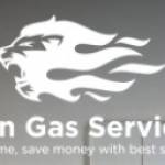 Lion Gas Services Profile Picture