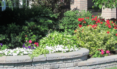 Essential Landscaping Strategies for Enhancing Curb Appeal in St. Louis