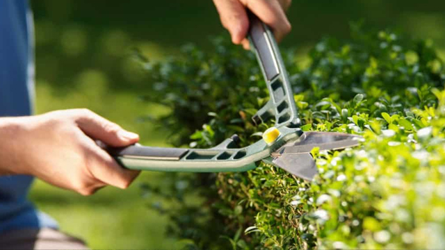 Garden landscaping services melbourne -Lawn Mowings