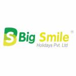 Big Smile Holidays Profile Picture